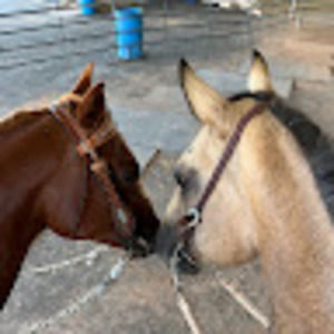 Meet your Posher, Lori